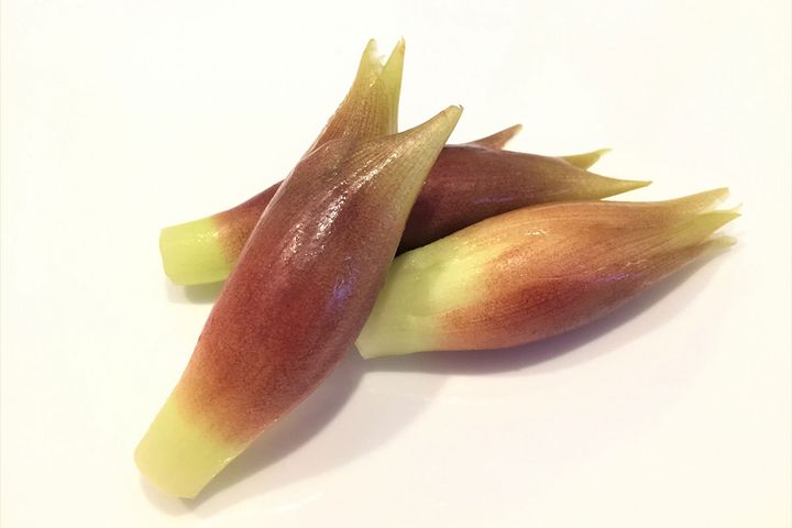 みょうがの栄養知ってますか？