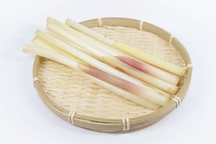 ▲収穫まで1年以上かかる高級食材「みょうがたけ」の旬は春。