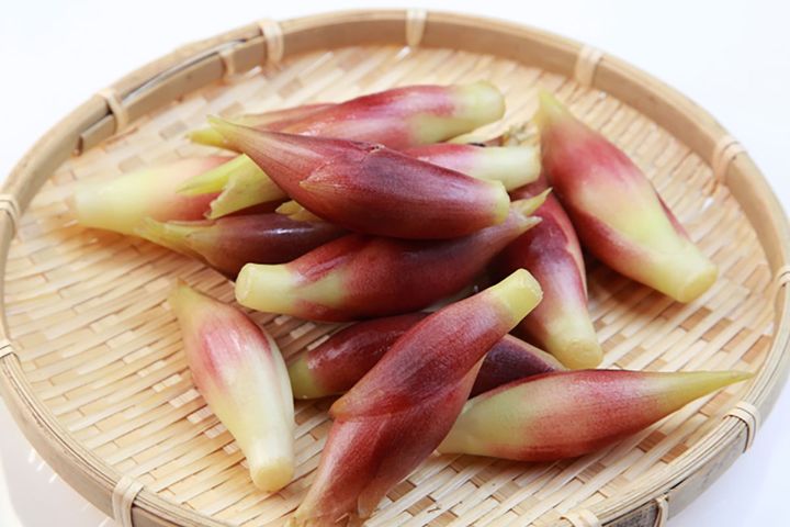 ▲「みょうが」をたくさん食べても物忘れはしません！