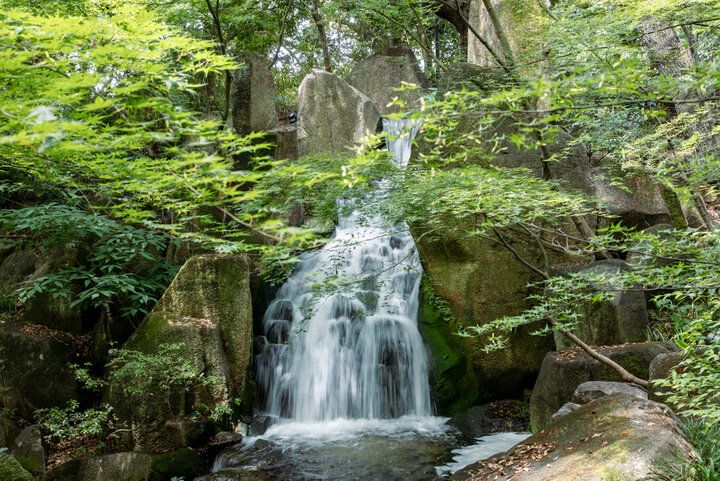 名古屋「徳川園」で、尾張徳川家の優美な文化と四季折々の自然に親しむ