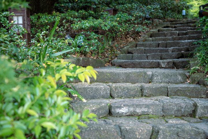 名古屋「徳川園」で、尾張徳川家の優美な文化と四季折々の自然に親しむ