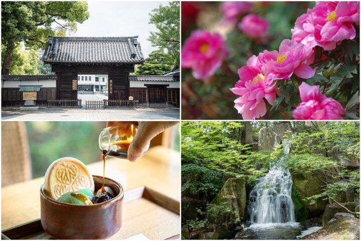 名古屋「徳川園」で、尾張徳川家の優美な文化と四季折々の自然に親しむ