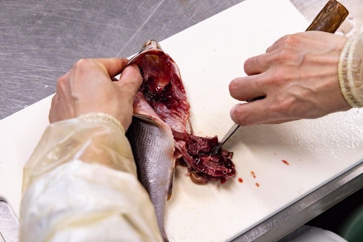 内臓を取り除く