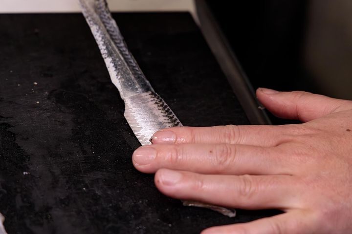 鰯を2等分にする