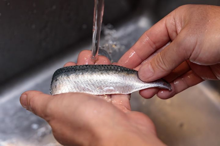 鰯を洗う