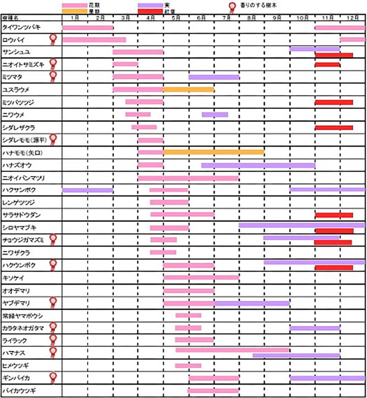 目黒天空庭園の花カレンダー
