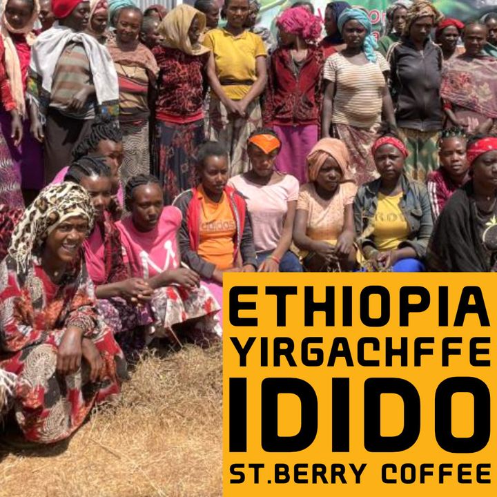 松原大地さん監修！本格派コーヒー豆お取り寄せ5選