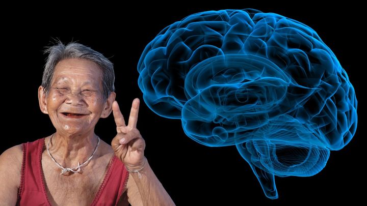 78歳の脳にも「新しい神経細胞」が出現できると判明