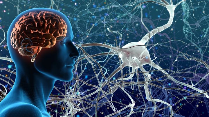 78歳の脳にも再生力——認知症やうつ病治療への新たな希望