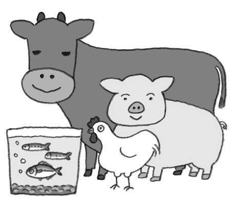 貧血改善・予防は「たんぱく質」がカギ！ 意外と知らない「貧血のタイプ」と「すぐにできる対策」とは？の画像5