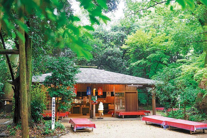 京都よりみちこみち 下鴨本通【前編】