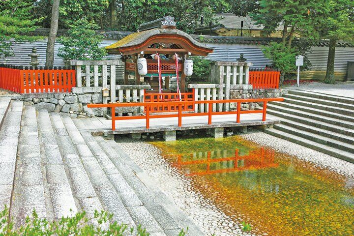 京都よりみちこみち 下鴨本通【前編】