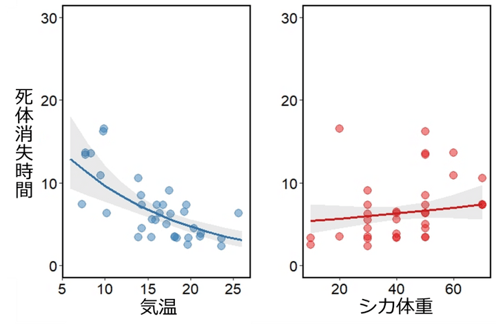 シカ死体の消失時間と気温、およびシカ体重の関係性を予測した図