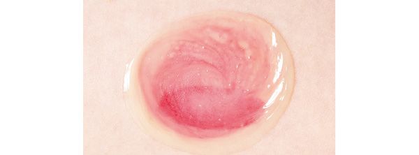 メイクとのなじみ具合は？／N organic Basic スージング クレンジングジェル