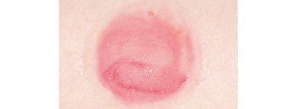 メイクとのなじみ具合は？／薬用雪肌精 ブライトニング クレンジング オイル