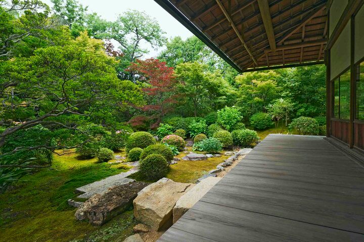 京都の夏を楽しむ♪ 目にも爽やかな青もみじや、涼を呼ぶ京町家の夏のしつらえ