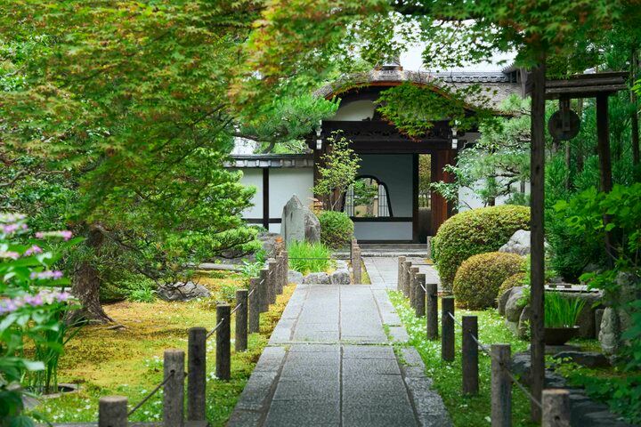 京都の夏を楽しむ♪ 目にも爽やかな青もみじや、涼を呼ぶ京町家の夏のしつらえ
