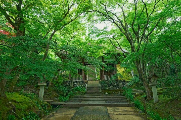 京都の夏を楽しむ♪ 目にも爽やかな青もみじや、涼を呼ぶ京町家の夏のしつらえ
