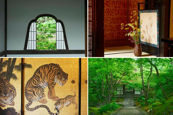 京都の夏を楽しむ♪ 目にも爽やかな青もみじや、涼を呼ぶ京町家の夏のしつらえ