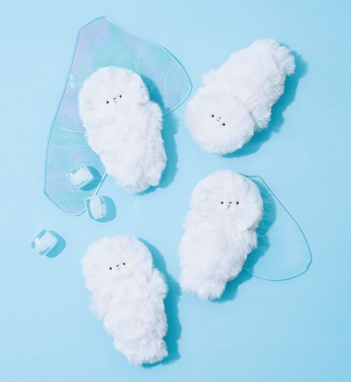 ふさふさ、もこもこの中に埋もれそうな目が、かわいい！