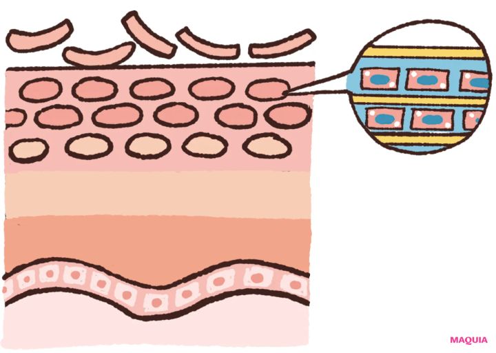 角質ケアの最新トレンド、「育成ケア＆摩擦レス処方」の注目アイテムをチェック！_3