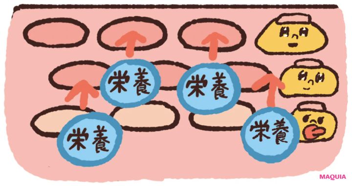 角質ケアの最新トレンド、「育成ケア＆摩擦レス処方」の注目アイテムをチェック！_4