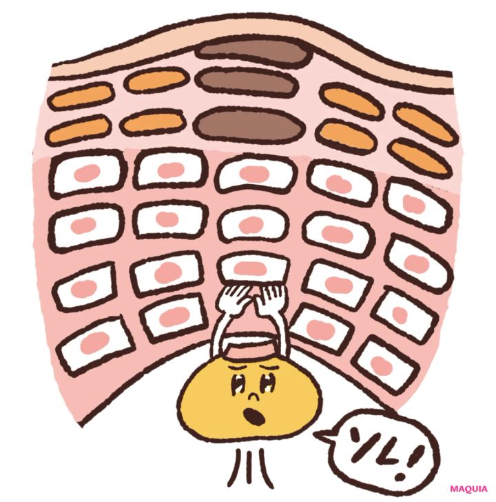 角質ケアの最新トレンド、「育成ケア＆摩擦レス処方」の注目アイテムをチェック！_8