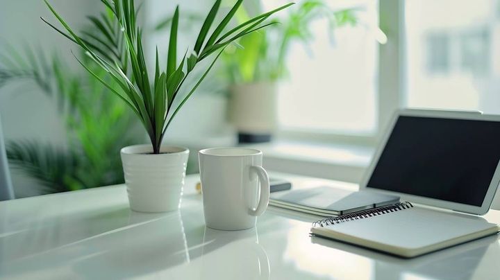 植物、コーヒー、デスク