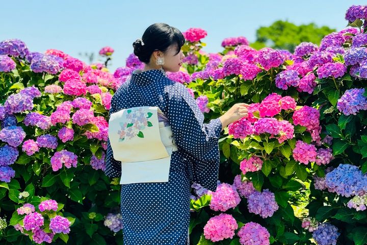 夏でも着たい！ 着物のイメージ