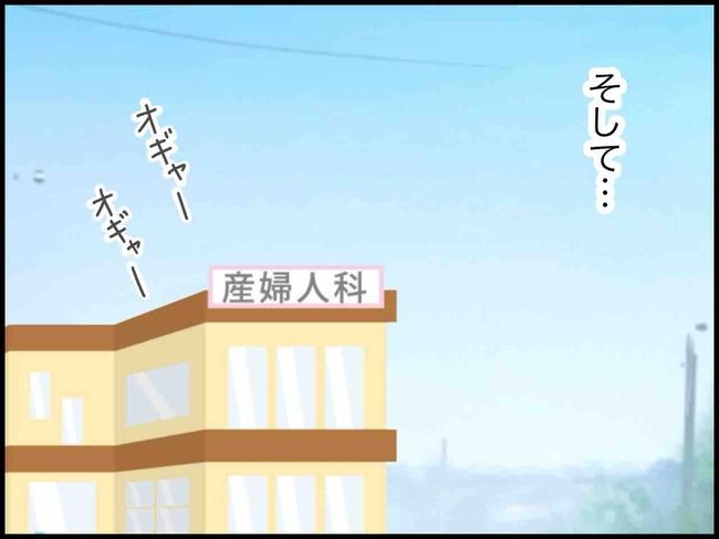 妊娠中に浮気されました／のむすん