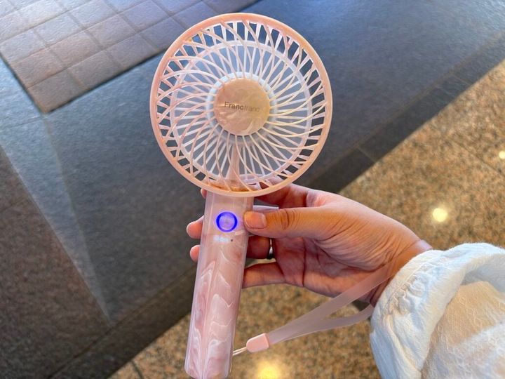 Francfranc フレ ハンディファン シアーマーブル ピンク