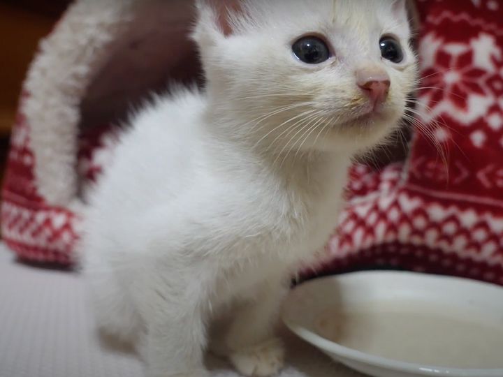 反応がかわいすぎる……！