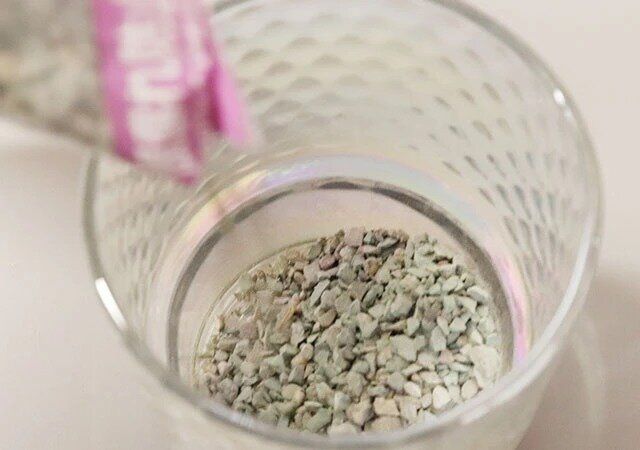 ダイソーの根腐れ防止ゼオライト2