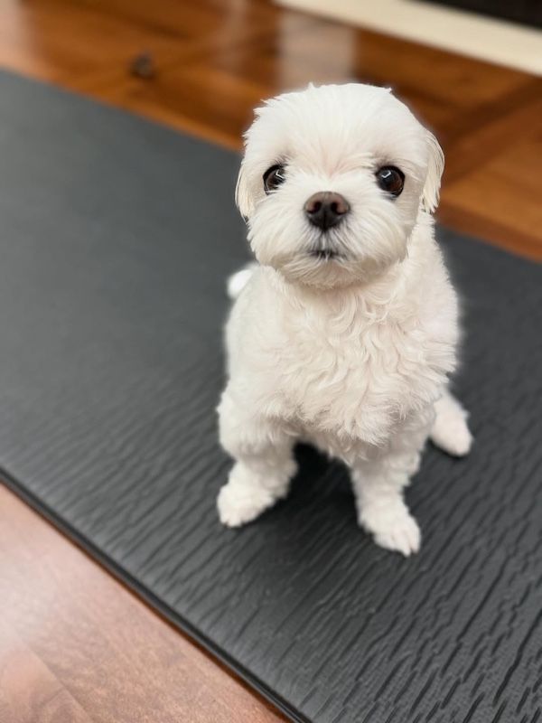 ソン・イェジン