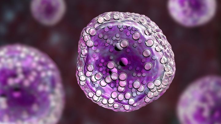 「生命の境界線」再考——スクナ古細菌が教えること