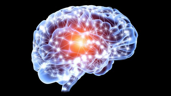 脳卒中が教えてくれる『心』の脆さ