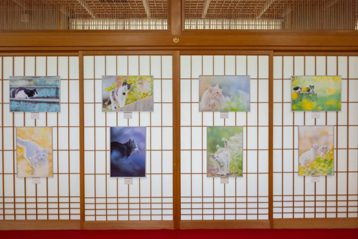 50代のカメラ旅 in函館