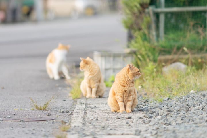 50代のカメラ旅 in函館