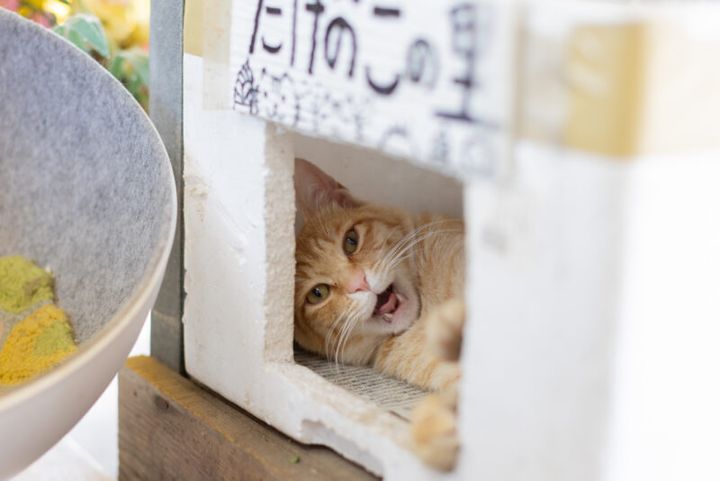 50代のカメラ旅 in函館