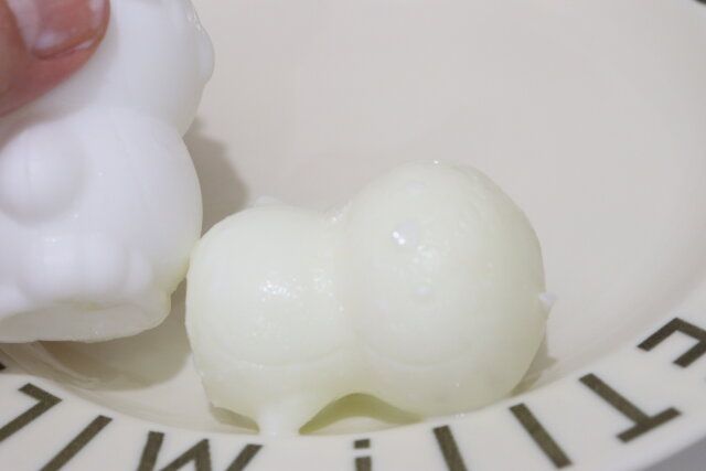 製氷型海の生物 完成