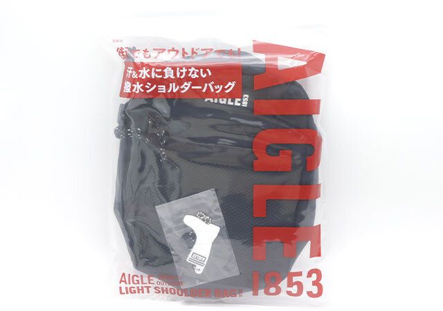 宝島社ムック付録のAIGLEのショルダーバッグ1