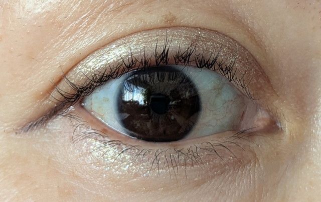 CipiCipi×ウォンジョンヨ