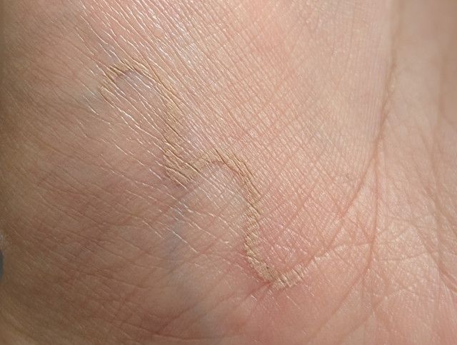 CipiCipi×ウォンジョンヨ