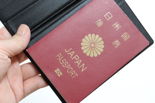 ダイソーのパスケース3