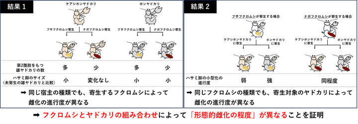 寄生虫が宿主を操るメカニズム――ホルモンと神経の謎を追う