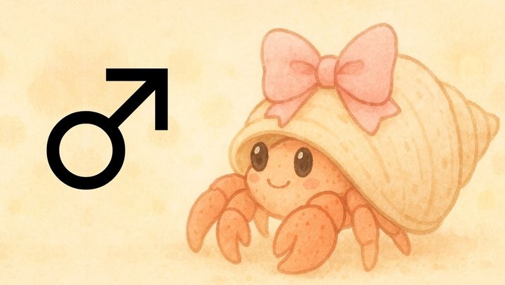 オスのヤドカリを「メス化」する寄生フジツボ――そのメス化進行度を解明