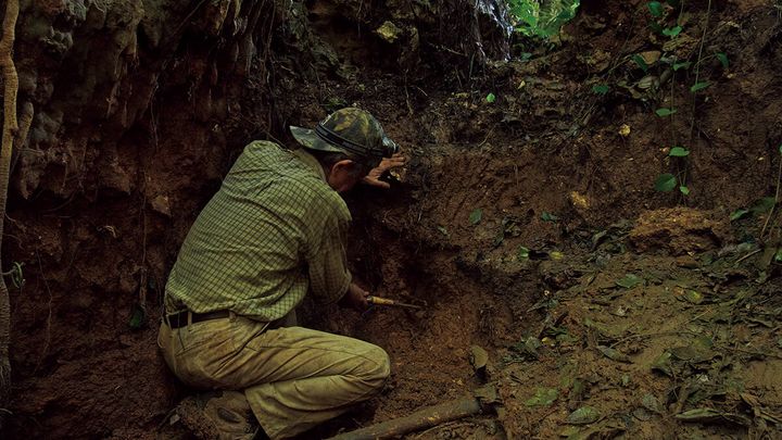 映画『骨を掘る男』