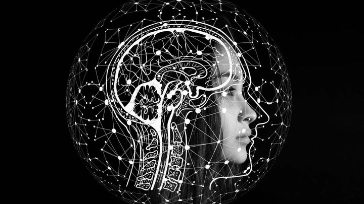 なぜ薬物に手を出すのか？ 従来の常識を覆す新視点とは