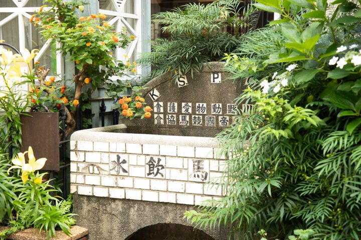 ハイカラな港街のレトロな喫茶室♪ひとり用のホールケーキに心ときめく／横浜「馬車道十番館」