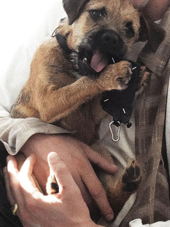 メゾン マルジェラのアトリエで“秘密兵器”こと愛犬マーフィーを抱くグレン・マーティンス。